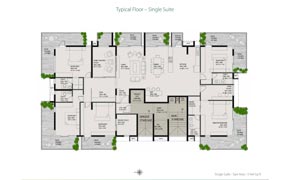 Single Suite - Typical Floor Plan