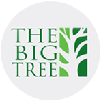 The Big tree , jayanagar , bangalore